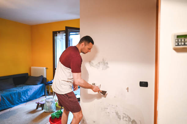Best Mold Remediation  in Gallatin, MO